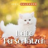 Weiße Perserkatzen Kalender 2023: 18-Monats-Kalender von Juli 2022 bis Dezember 2023 - Behalten Sie den Überblick über wichtige Details, Notizen und Termine