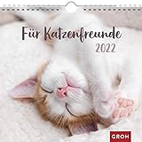 Für Katzenfreunde 2022: Wandkalender mit Monatskalendarium
