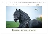 Friesen - stolze Giganten (Tischkalender 2023 DIN A5 quer), Calvendo Monatskalender