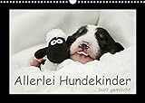 Allerlei Hundekinder (Wandkalender 2023 DIN A3 quer)