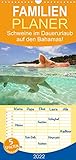 Schweine im Dauerurlaub auf den Bahamas! (Wandkalender 2022, 21 cm x 45 cm, hoch)