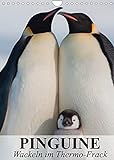Pinguine - Wackeln im Thermo-Frack (Wandkalender 2022 DIN A4 hoch)