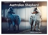 Australian Shepherd - Vielfalt in einer Rasse (Wandkalender 2023 DIN A3 quer)