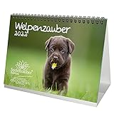 Welpenzauber DIN A5 Tischkalender für 2022 Hunde Welpen - Geschenkset Inhalt: 1x Kalender, 1x Weihnachtskarte (insgesamt 2 Teile)