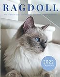 Ragdoll 2022 Calendar: 12-month Calendar 2022 from Jan 2022 to Dec 2022 in size 8.5x11 inch