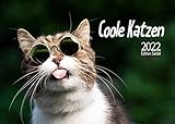 Edition Seidel Coole Katzen mit Sprüchen Premium Kalender 2022 DIN A3 Wandkalender Katzenkalender