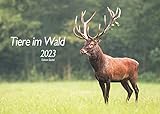 Edition Seidel Tiere im Wald Wildtiere Premium Kalender 2023 DIN A3 Wandkalender Waldtiere