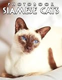 A Photo Book Of Siamese Cats: 2023-2024 Calendar Siamese Cats With Compelling & Impressive Photos Of Cute Cat Home And Office Organizer For Men & Women Lovers As A Way To Manage Important Notes