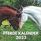 Pferde Kalender 2023: Ein Kleiner Monatskalender | Januar bis Dezember 2023 | Mit Bildern der Pferde für Schreibtisch, Büro, ideal zum Schreiben von ... für Männer, Frauen, Mädchen, Pferdeliebhaber