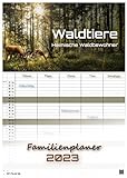 Waldtiere - Heimische Waldbewohner - Der Tierkalender - 2023 - Kalender DIN A3 - (Familienplaner): Der Wandkalender mit den schönsten Waldtier-Motiven!