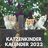 Katzenkinder Kalender 2022: Ein Monatlicher Katzenkalender 2022 Für Schreibtisch, Büro, Ideal zum Schreiben von Terminen, Geburtstagen, ... Kinder, Katzenfreunde, Katzenbesitzer