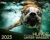 Hunde unter Wasser 2023: Wandkalender