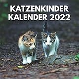 Katzenkinder Kalender 2022: Ein Monatlicher Katzenkalender 2022 mit Bildern der Katzenkinder für Schreibtisch, Büro, Ideal zum Schreiben von Terminen, ... Frauen, Mädchen, Kinder, Katzenfreunde