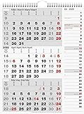 rido/idé 7033330002 Wandkalender/Drei-Monats-Kalender Kombi-Planer 3, 1 Blatt = 3 Monate, 300 x 390 mm, Kalendarium 2022, Wire-O-Bindung mit Aufhänger, mit rechtsbündigem Streifenkalender