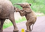 Die Welt der Elefanten Premium Kalender 2023 DIN A3 Wandkalender Tiere Elefant Natur Wildtier