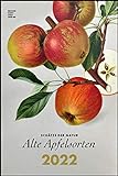 Alte Apfelsorten 2022 - Bild-Kalender 33x49,5 - Küchen-Kalender - gesunde Ernährung - Wand-Kalender