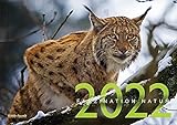 Faszination Natur Kalender 2022: WILD UND HUND