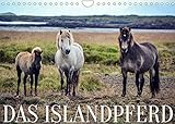 Das Islandpferd (Wandkalender 2022 DIN A4 quer)