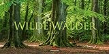 Wilde Wälder Kalender 2023, Wandkalender / Panoramakalender im Querformat (66x33 cm) - Landschaftskalender / Naturkalender