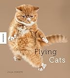 Flying Cats: Katzen in der Luft – originelle Fotos grandioser Katzen-Sprünge