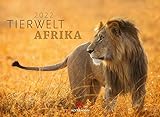 Tierwelt Afrika Kalender 2022, Wandkalender im Querformat (45x33 cm) - Tierkalender