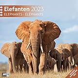 Elefanten 2023, Wandkalender / Broschürenkalender im Hochformat (aufgeklappt 30x60 cm) - Geschenk-Kalender mit Monatskalendarium zum Eintragen