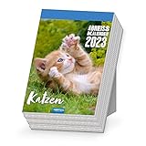 Trötsch Abreißkalender Katzen 2023: Aufstellkalender Tischkalender Abreißkalender
