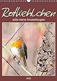 Rotkehlchen, süÃŸe kleine Knutschkugeln (Wandkalender 2022 DIN A3 hoch) [Calendar] Löwer, Sabine
