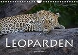 Leoparden - groß und klein (Wandkalender 2022 DIN A4 quer)