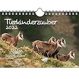 Tierkinderzauber DIN A5 Wandkalender für 2022 Tierbabys und Tierkinder - Geschenkset Inhalt: 1x Kalender, 1x Weihnachts- und 1x Grußkarte (insgesamt 3 Teile)