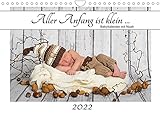Aller Anfang ist klein - Babykalender mit Noah (Wandkalender 2022 DIN A4 quer)