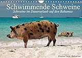Schwimmende Schweine (Wandkalender 2022 DIN A4 quer)