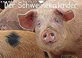 Der Schweinekalender (Wandkalender 2022 DIN A4 quer)