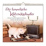 Der himmlische Katzenkalender 2023: 53 Samtpfotengeschichten, Bilder & Weisheiten