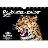 Raubkatzenzauber DIN A4 Kalender für 2023 verschiedene Raubkatzen - Seelenzauber