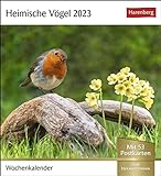 Heimische Vögel Postkartenkalender 2023: Wochenkalender mit 53 Postkarten