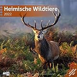 Heimische Wildtiere 2022, Wandkalender / Broschürenkalender im Hochformat (aufgeklappt 30x60 cm) - Kalender mit Monatskalendarium zum Eintragen