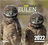 Der (un)poetische Eulenkalender (2022) (Kadmos' koole Postkartenkalender)