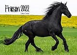 Friesen Kalender 2022 DIN A3 Wandkalender Tiere Pferd Pferde