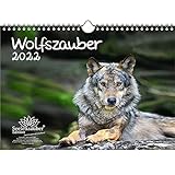 Wolfszauber DIN A4 Kalender für 2022 Wolf und Wölfe - Seelenzauber