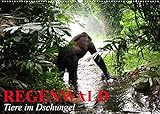 Regenwald • Tiere im Dschungel (Wandkalender 2022 DIN A2 quer)