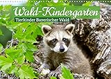 Wald-Kindergarten: Tierkinder Bayerischer Wald (Wandkalender 2022 DIN A3 quer) [Calendar] CALVENDO