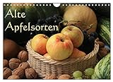 Alte Apfelsorten (Wandkalender 2023 DIN A4 quer), Calvendo Monatskalender