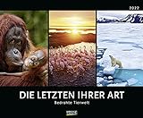 Bedrohte Tierwelt 2022: Großer Wandkalender mit spektakulären Naturaufnahmen. PhotoArt Kalender. Querformat: 55 x 45,5 cm
