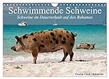 Schwimmende Schweine (Wandkalender 2023 DIN A4 quer), Calvendo Monatskalender
