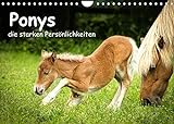 Ponys, die starken Persönlichkeiten (Wandkalender 2022 DIN A4 quer)
