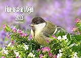 Heimische Vögel Kalender 2023 DIN A4 Wandkalender Vogelkalender Tiere Vogel Spatz Fink Amsel Specht Baum Blume Wiese