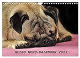 Alles Mops-Kalender 2023 (Wandkalender 2023 DIN A4 quer), Calvendo Monatskalender