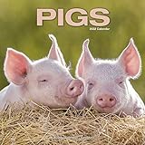 Pigs - Schweine 2022- 16-Monatskalender: Original Avonsside-Kalender [Mehrsprachig] [Kalender]: Original BrownTrout-Kalender [Mehrsprachig] [Kalender] (Wall-Kalender)