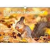 Eichhörnchenzauber DIN A3 Kalender für 2022 Eichhörnchen - Seelenzauber